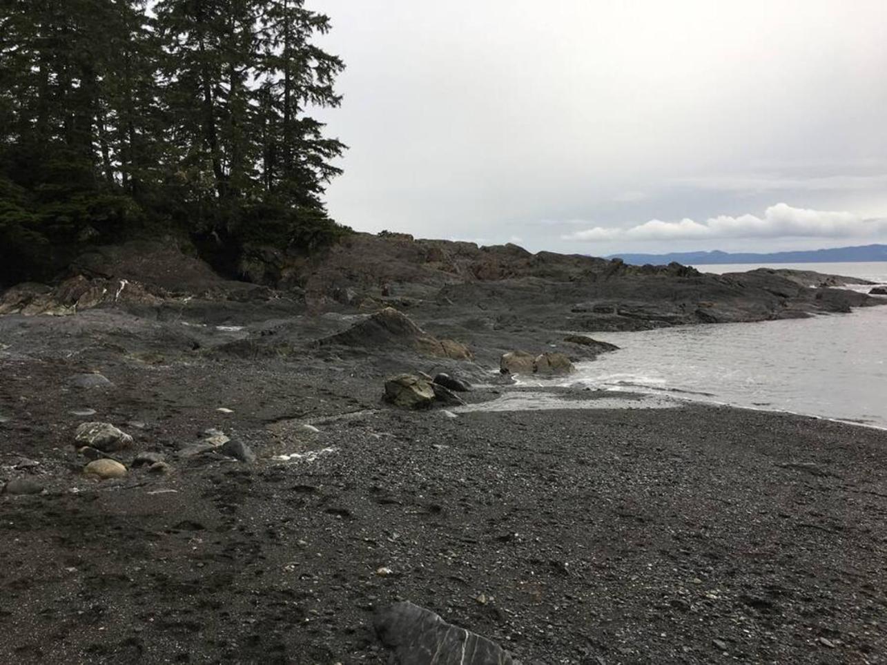 The Great Escape - Port Renfrew Villa Dış mekan fotoğraf