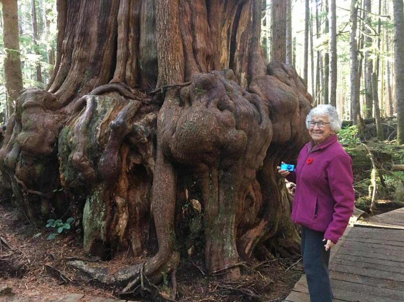 The Great Escape - Port Renfrew Villa Dış mekan fotoğraf
