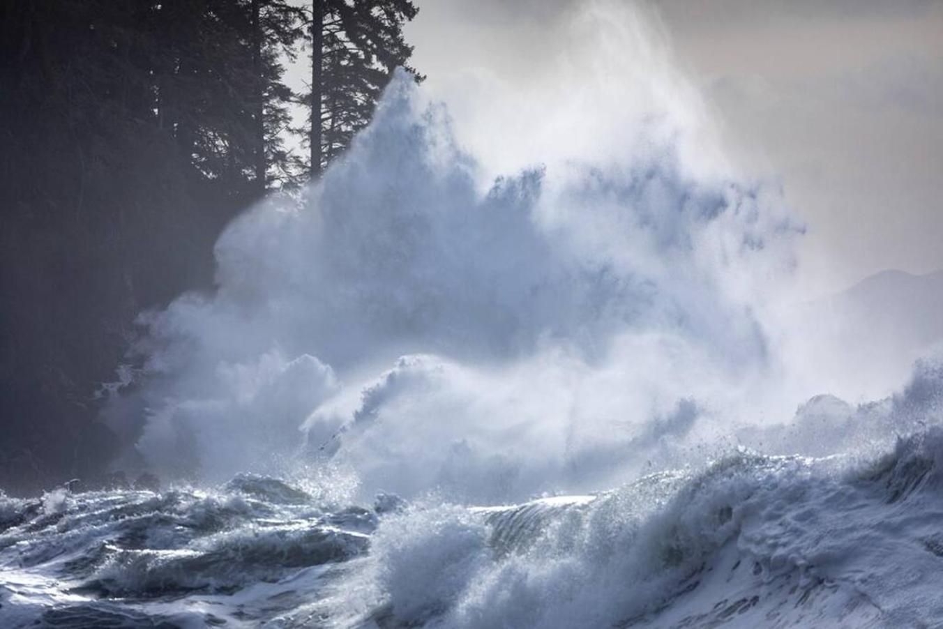 The Great Escape - Port Renfrew Villa Dış mekan fotoğraf