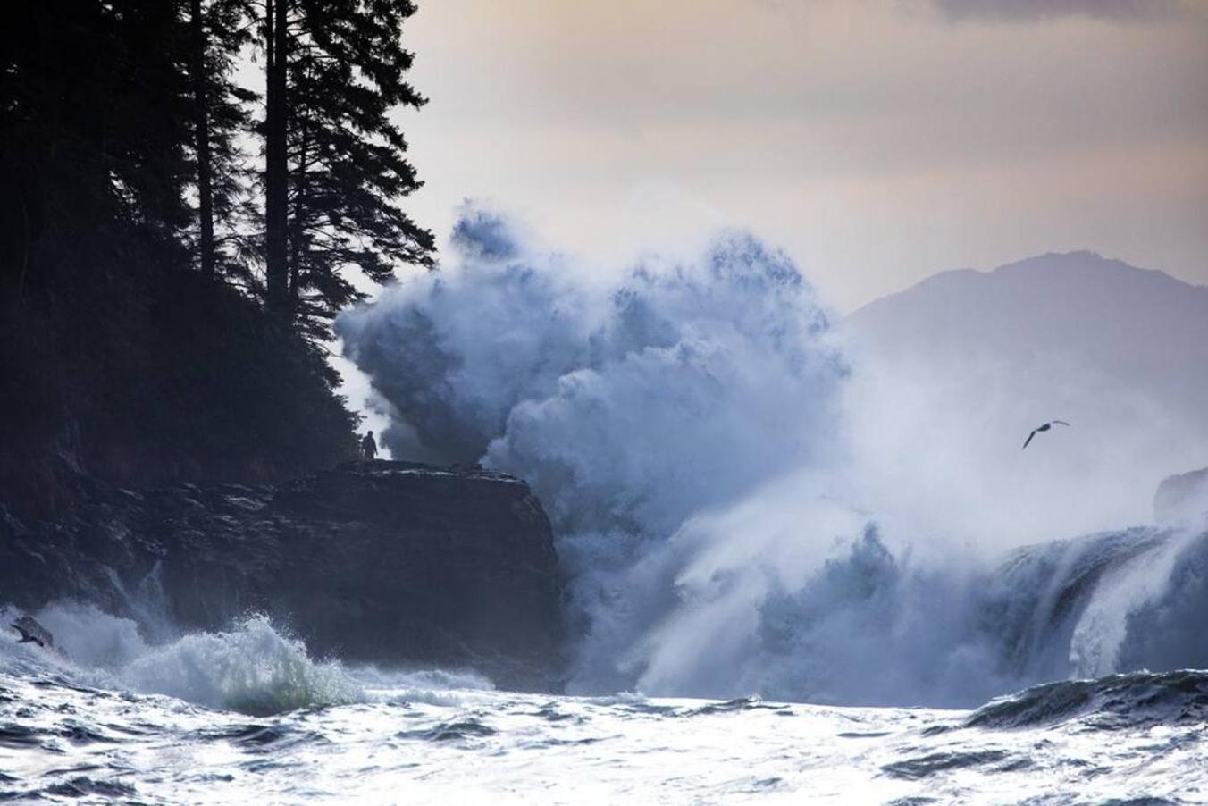 The Great Escape - Port Renfrew Villa Dış mekan fotoğraf