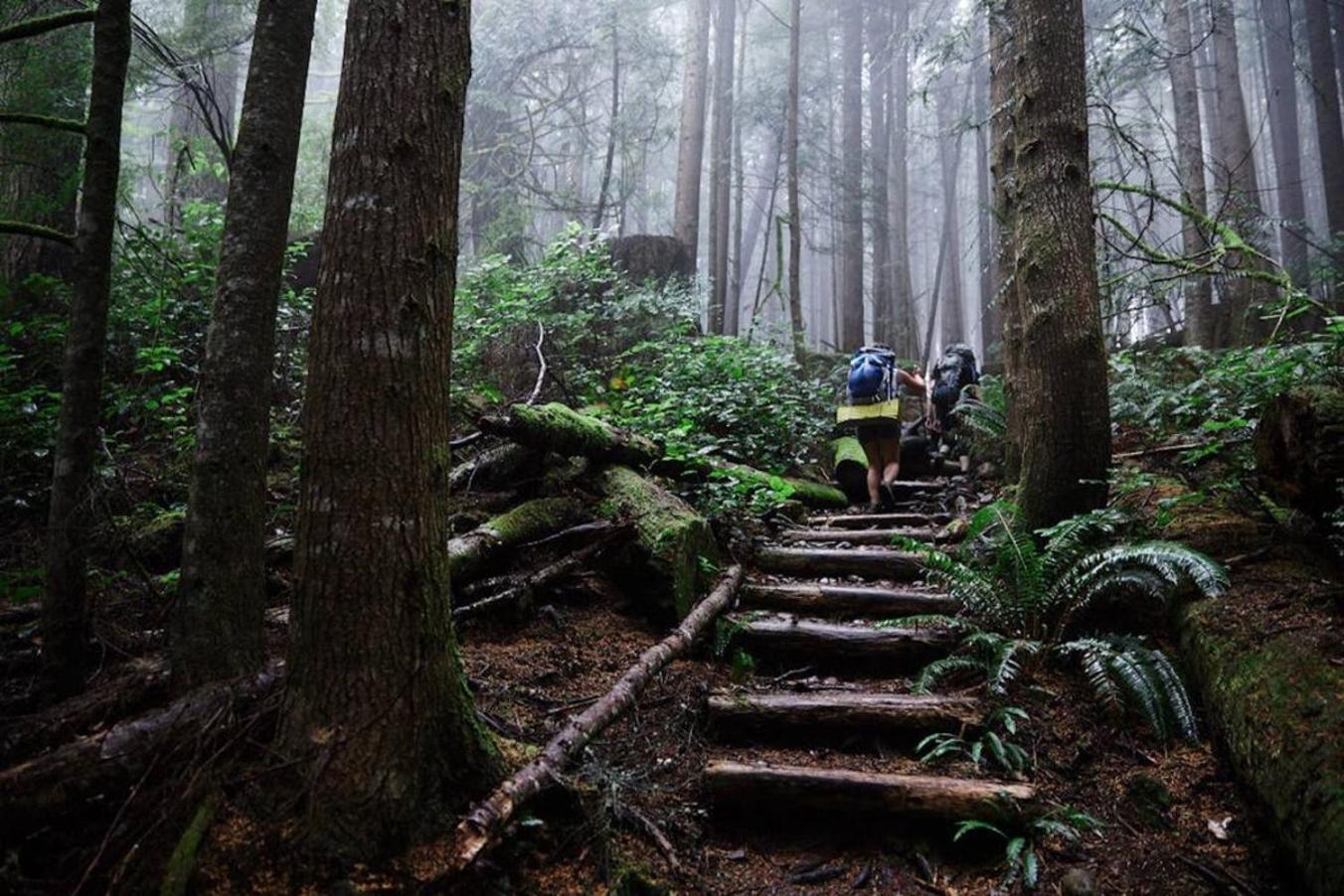 The Great Escape - Port Renfrew Villa Dış mekan fotoğraf