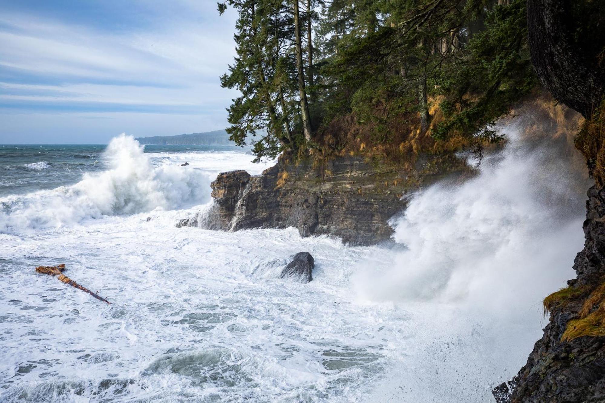 The Great Escape - Port Renfrew Villa Dış mekan fotoğraf